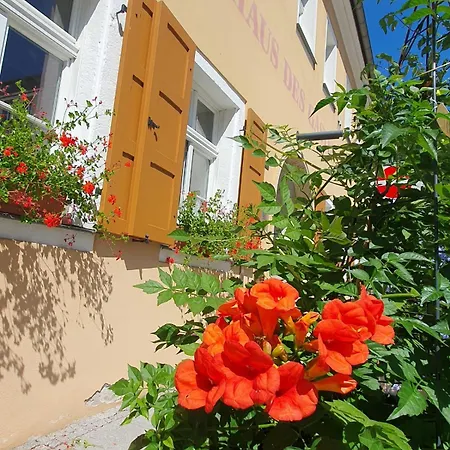 Am Springbrunnen Apartment Bad Schandau Exterior photo