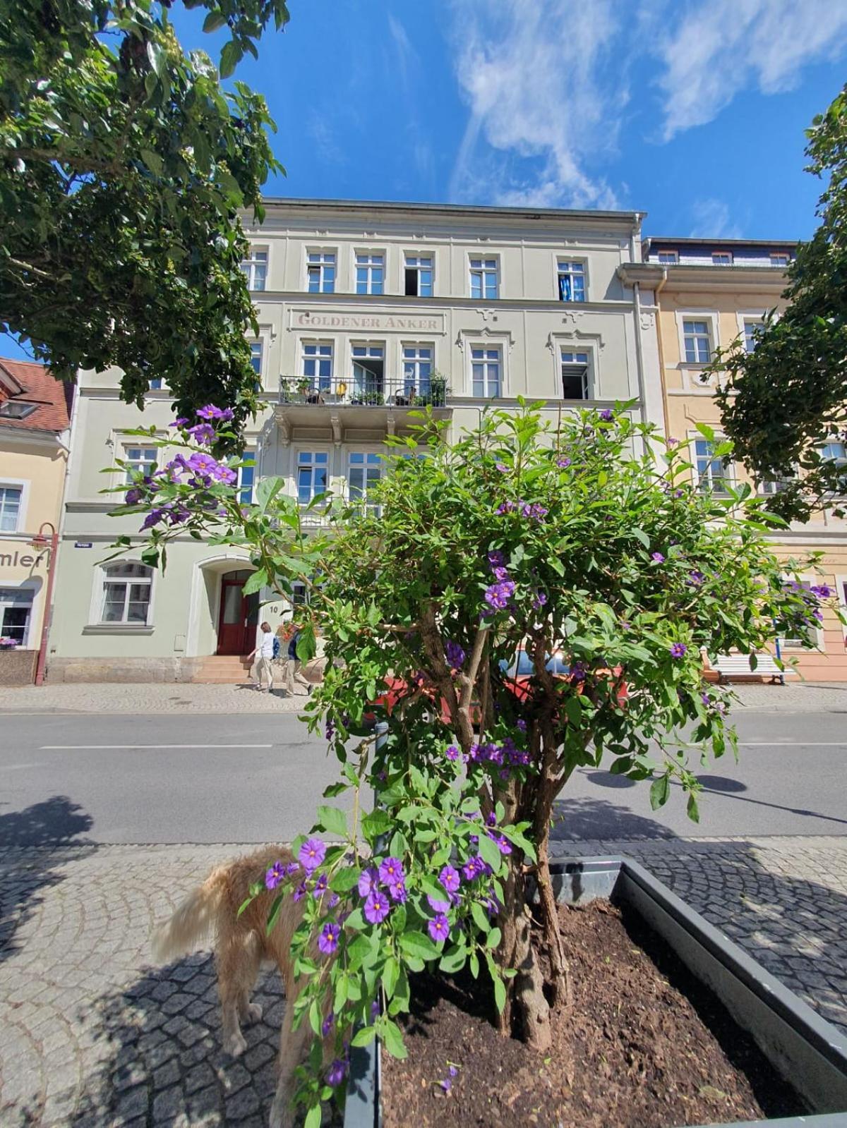 Apartment Am Springbrunnen Bad Schandau