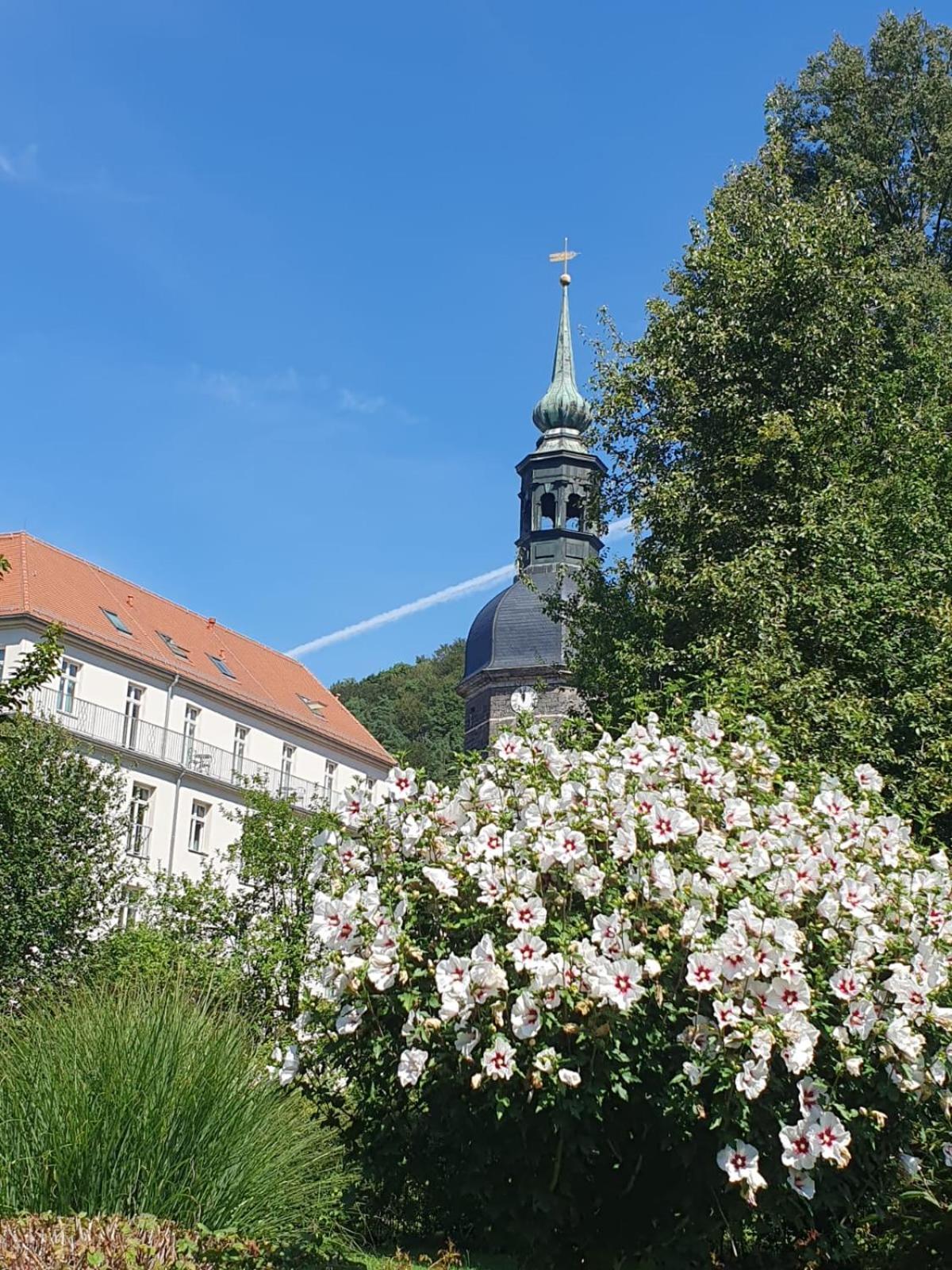 Apartment Am Springbrunnen Bad Schandau